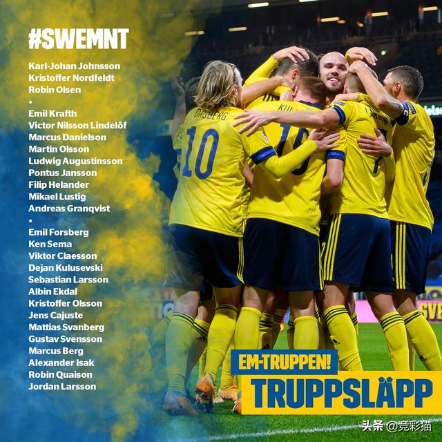 瑞典队欧洲杯名单公布（欧洲杯瑞典球员大名单）(1)