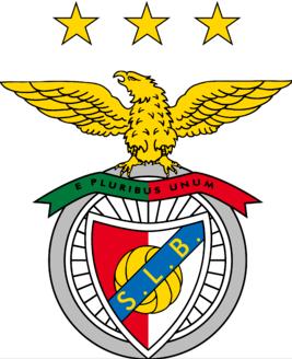 美洲狮俱乐部（全球足球俱乐部50大最美队徽）(6)