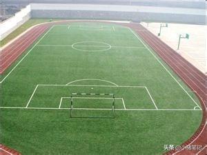 足球场地标准尺寸图（五人制足球场人造草坪建造标准）(2)