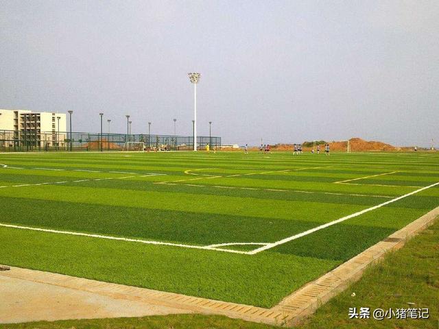 足球场地标准尺寸图（五人制足球场人造草坪建造标准）(3)