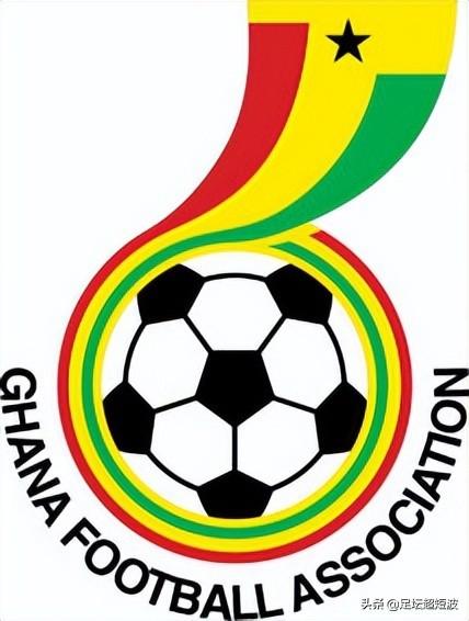 2014世界杯德国加纳（曾是距离世界杯四强最近的非洲球队）(22)