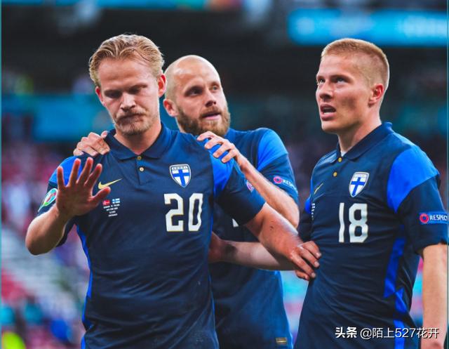 丹麦vs芬兰比赛回放（欧洲杯芬兰击败丹麦全场）(3)