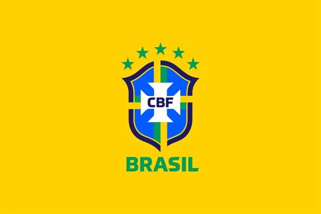 巴西足球历史最佳阵容（巴西足球历史上最佳11人阵容图片）(2)
