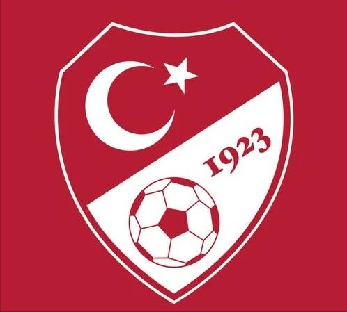 土耳其足球四大豪门（土耳其足球历史最佳阵容）(2)