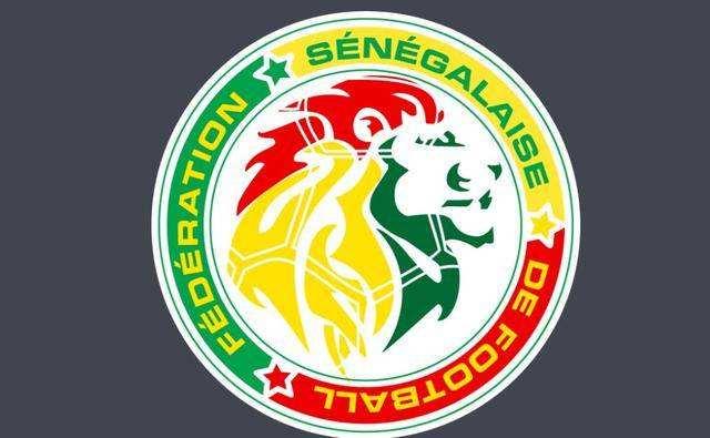 塞内加尔足球队阵容（塞内加尔足球历史最佳阵容）(2)