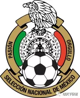 2018世界杯墨西哥赛程（2018年俄罗斯世界杯32强巡礼之墨西哥）(2)