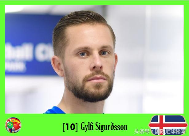 2018年足球世界杯冰岛排名第几名（冰岛俄罗斯世界杯出战名单）(12)