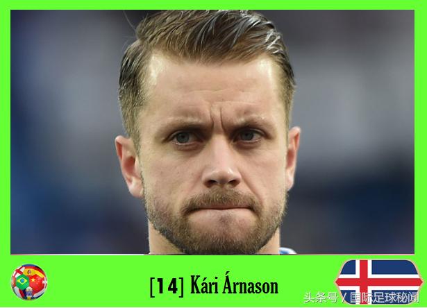 2018年足球世界杯冰岛排名第几名（冰岛俄罗斯世界杯出战名单）(16)