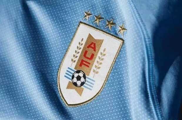 乌拉圭足球国家队队徽（乌拉圭足球队队徽上为什么有四颗）(1)