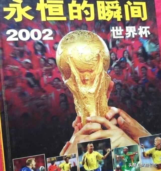 2002世界杯排名榜（世界杯回顾之2002世界杯）(1)