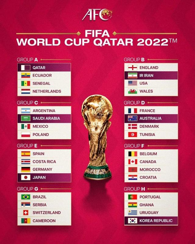 世界足球联赛水平排名（世界杯国足目前排名）(6)