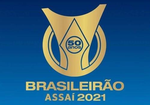 巴西足球甲级联赛规则（巴西足球甲级联赛最新积分榜）(2)