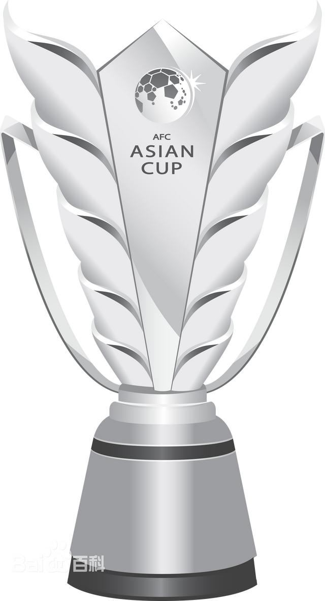 男足亚洲杯历届冠军一览表（男子足球亚洲杯历届冠军）(2)
