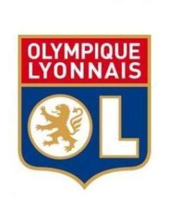 法国足球甲级联赛球队（法国足球甲级联赛20支球队盘点）(10)