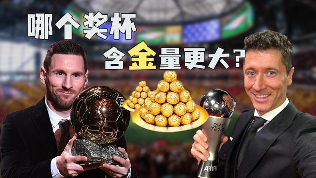 世界杯金球奖含金量（金球奖与世界足球先生有哪些区别）(2)