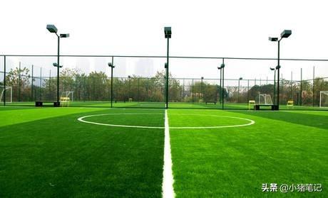 七人制足球场地标准尺寸是多少（标准 7 人制人造草坪足球场尺寸和价格）(2)