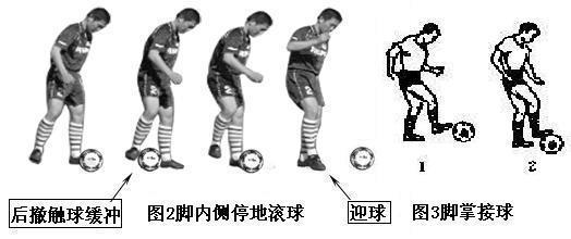 脚背正面踢球动作要领（直观简述六种踢足球技术动作方法）(3)