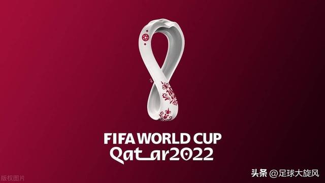 2022世界杯小组赛名单公告（2022世界杯各支球队分析）(3)