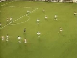 荷兰世界杯阵容（1994年世界杯F组西亚雄鹰首亮相）(13)