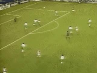 荷兰世界杯阵容（1994年世界杯F组西亚雄鹰首亮相）(16)