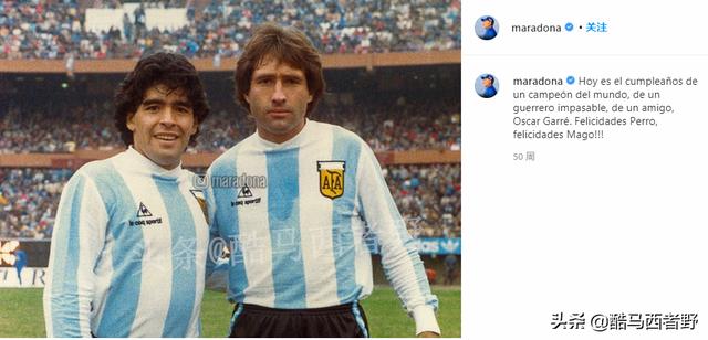 阿根廷夺冠阵容（1986阿根廷世界杯夺冠球员）(13)