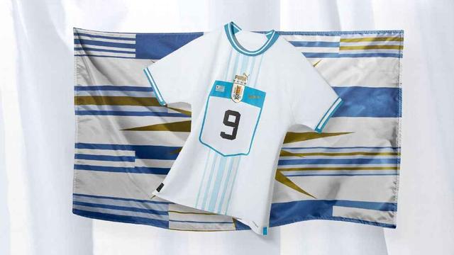 世界杯足球球衣（阿根廷国家足球队2022世界杯球衣）(14)