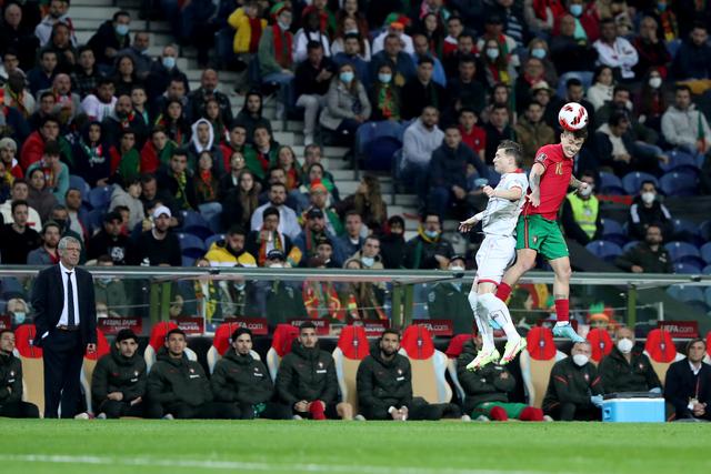 葡萄牙进入2022世界杯了吗（葡萄牙队晋级卡塔尔世界杯决赛圈）(8)