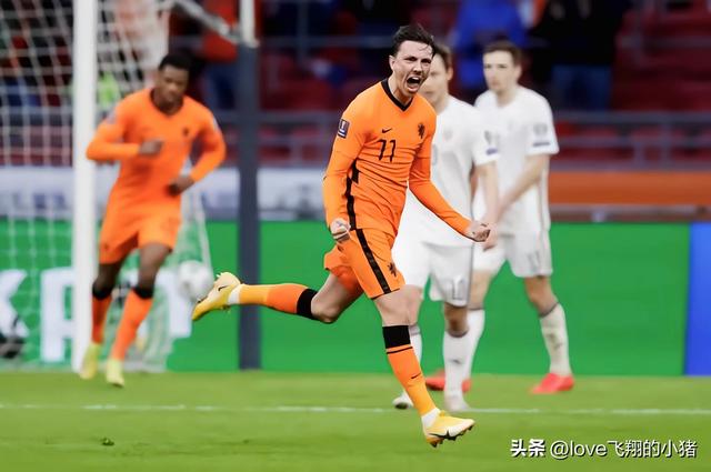 荷兰队首发阵容（荷兰队2022世界杯阵容首发11人主力预测）(11)